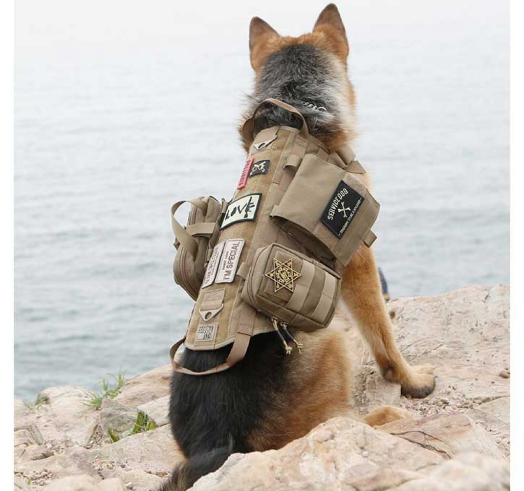 8 Best Service Dog Vests in 2020 (Review by a US Marine)