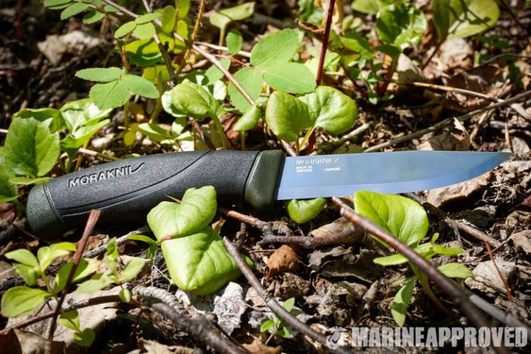 10 Best Budget Bushcraft Knives 2024 Marine Approved