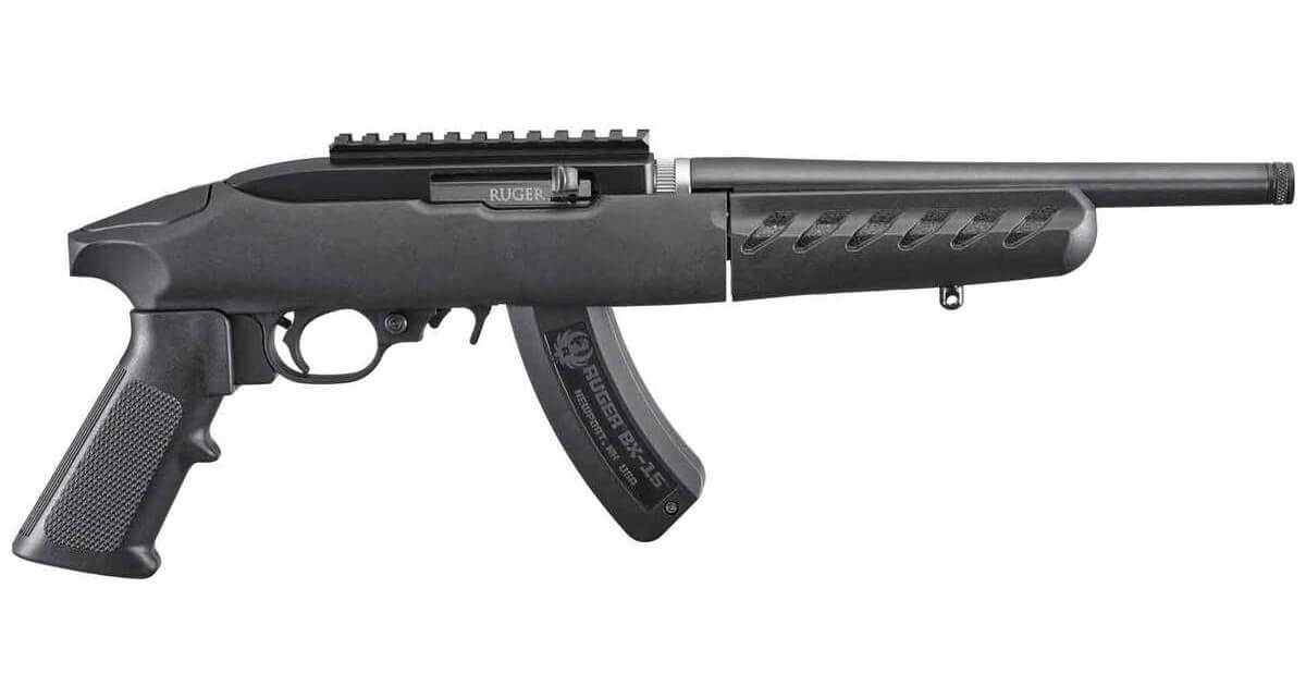Ruger 22 Charger