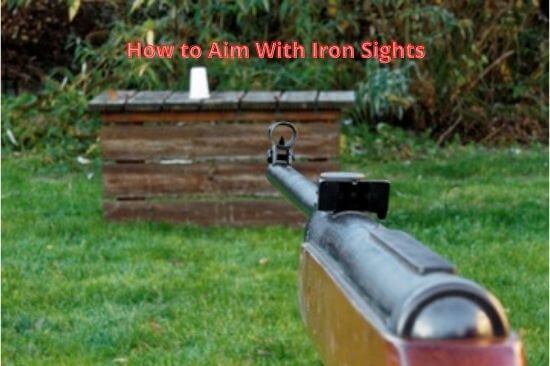 How To Aim With Iron Sights