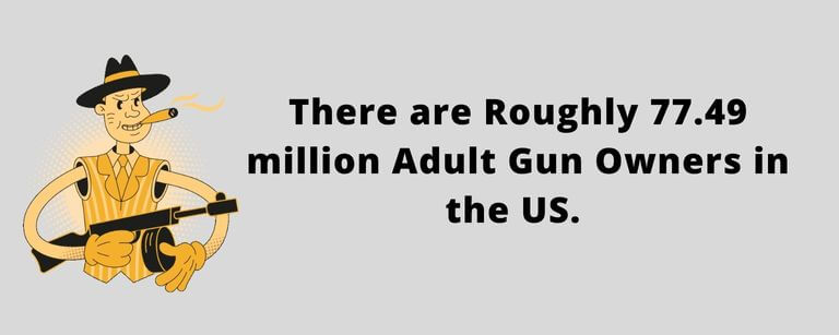 Gun Owners in America