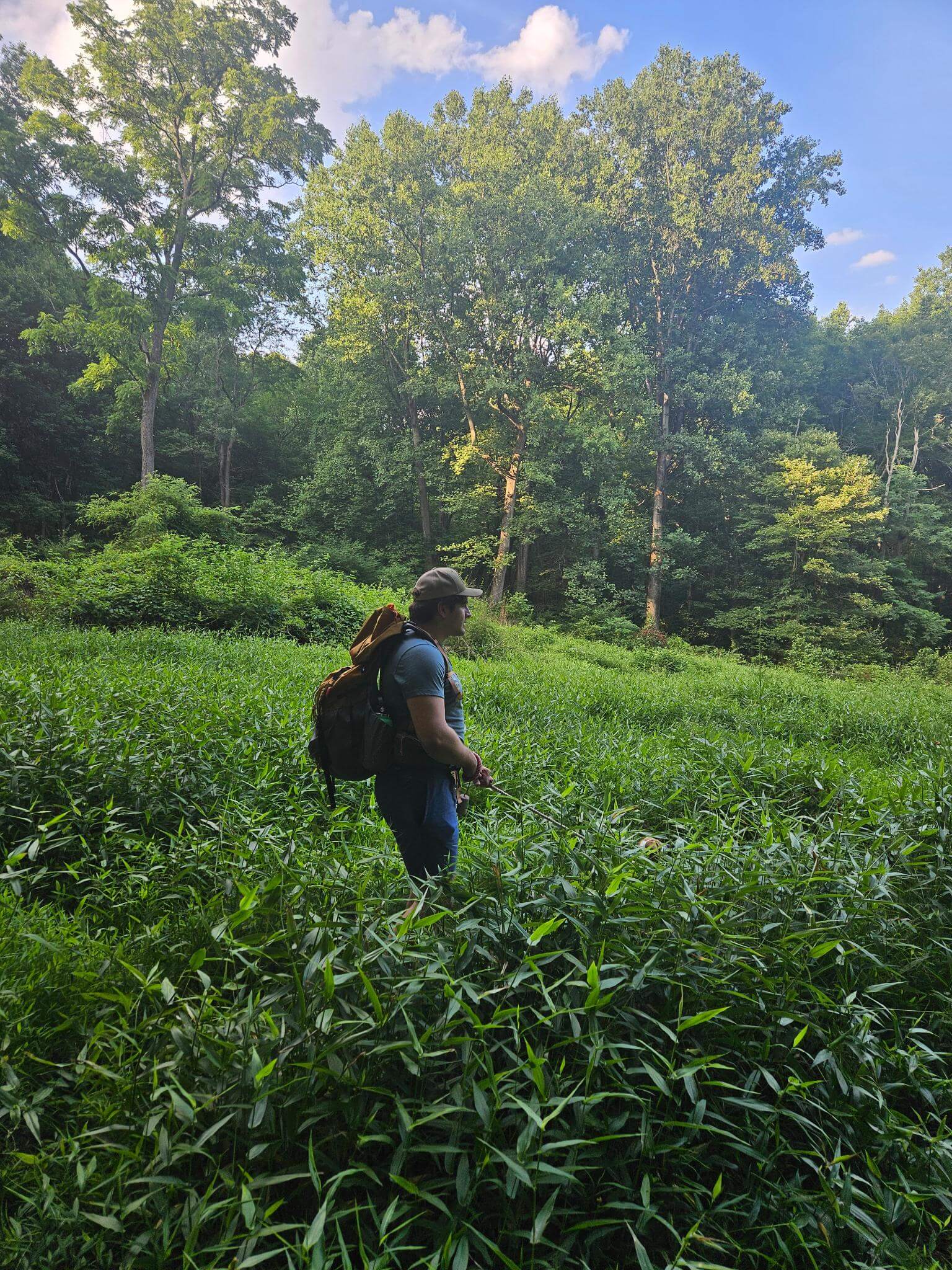 Zayne hiking the Laurel Highlands Trail in Pennsylvania